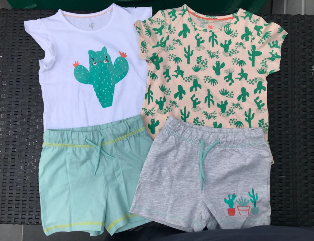 cien cactus tshirts