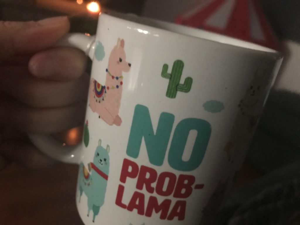 no problama tas