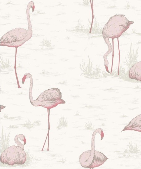 cole & son flamingo behang