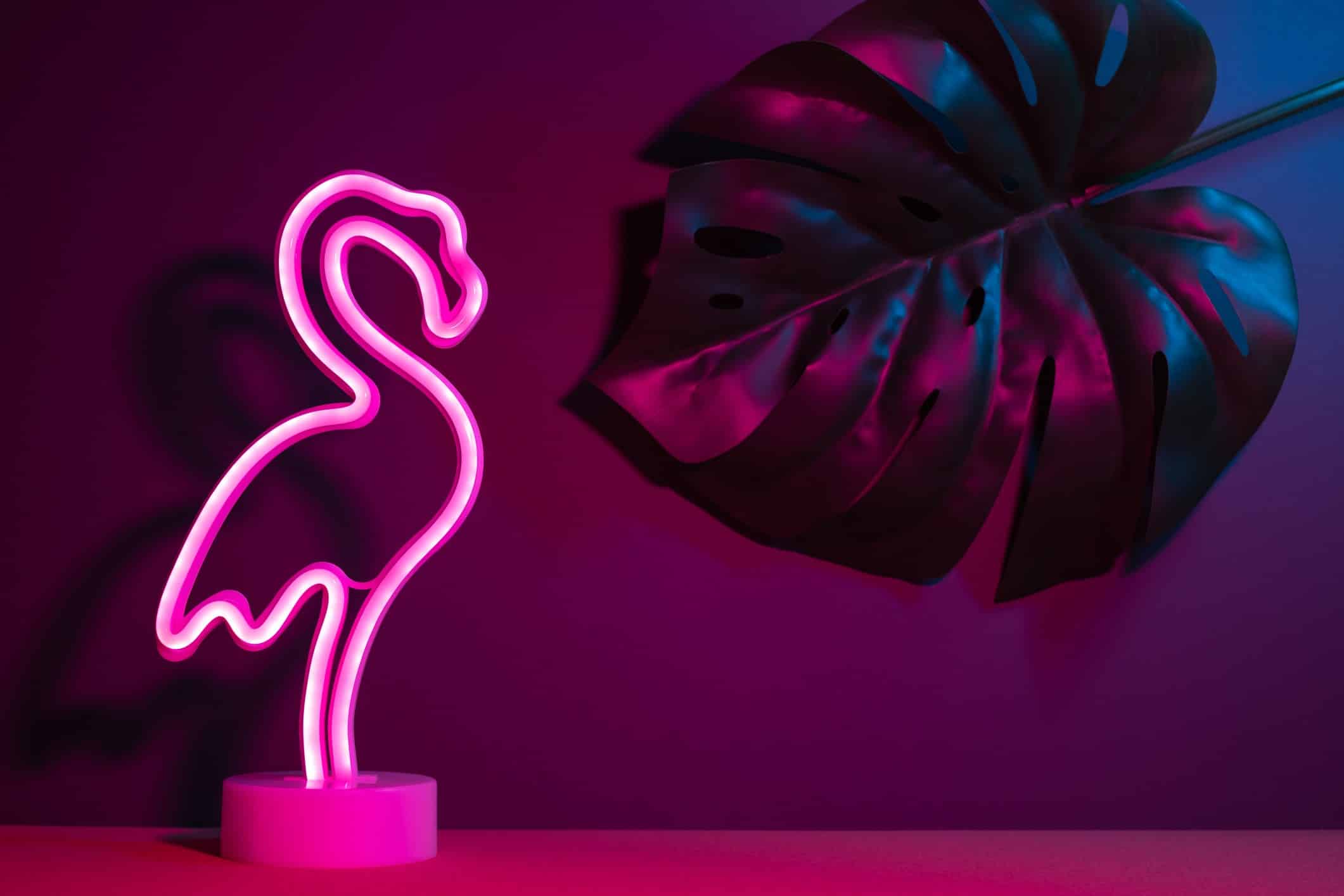 neon flamingo