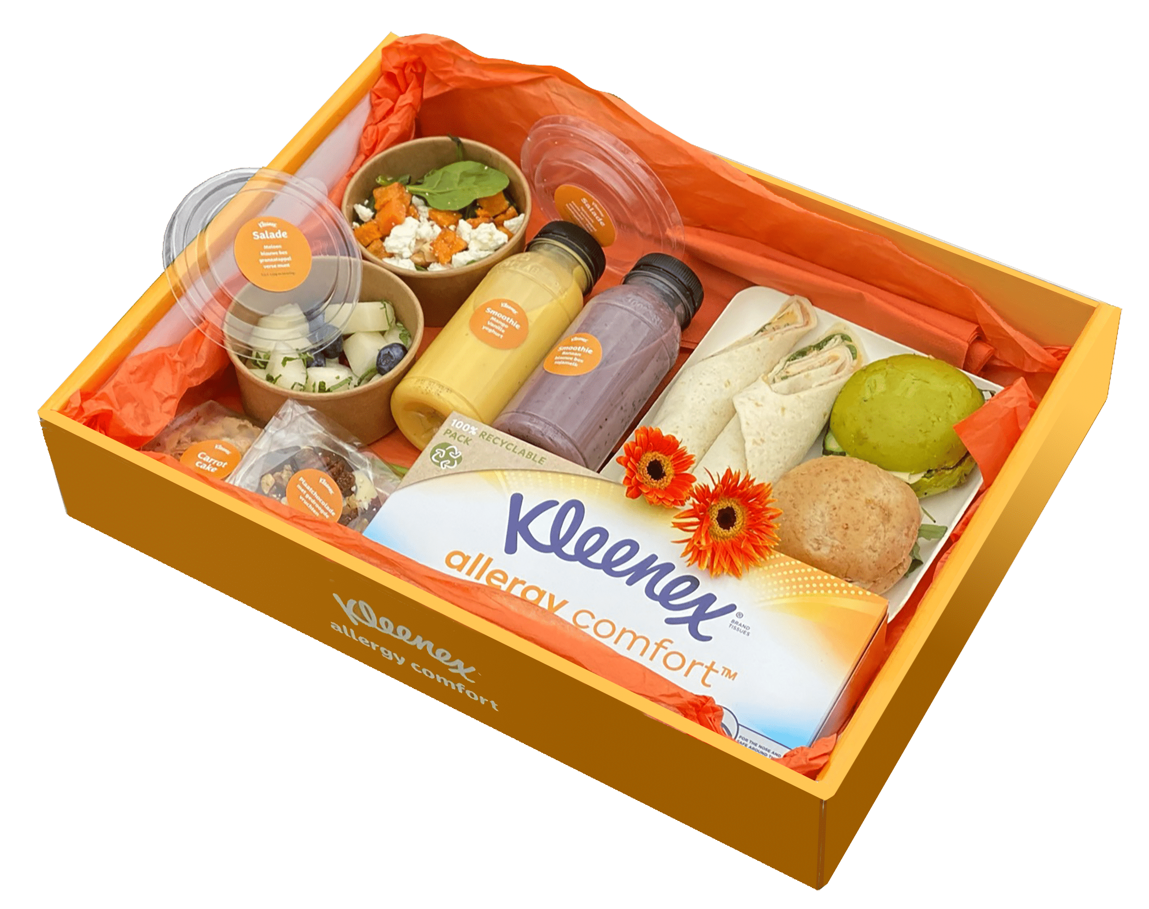 Kleenex-Allergy-Picknick-box (1)