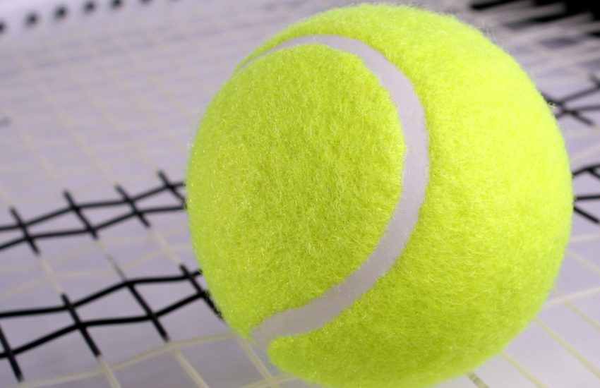 tennisballen in droger