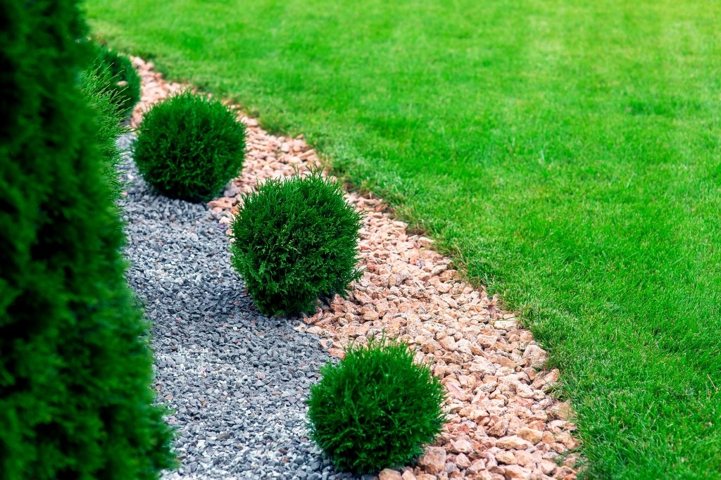 hoe maak je een onderhoudsvrije tuin