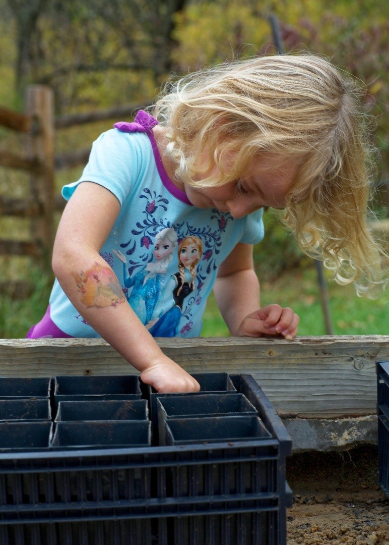 kinder moestuin pakket