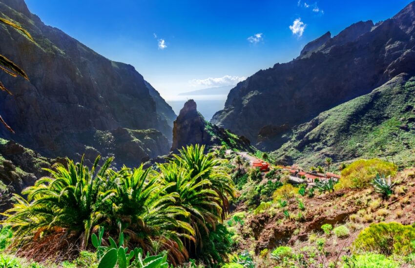 masca tenerife