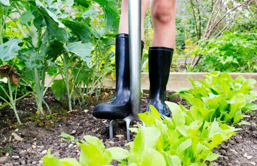 moestuinieren met kinderen