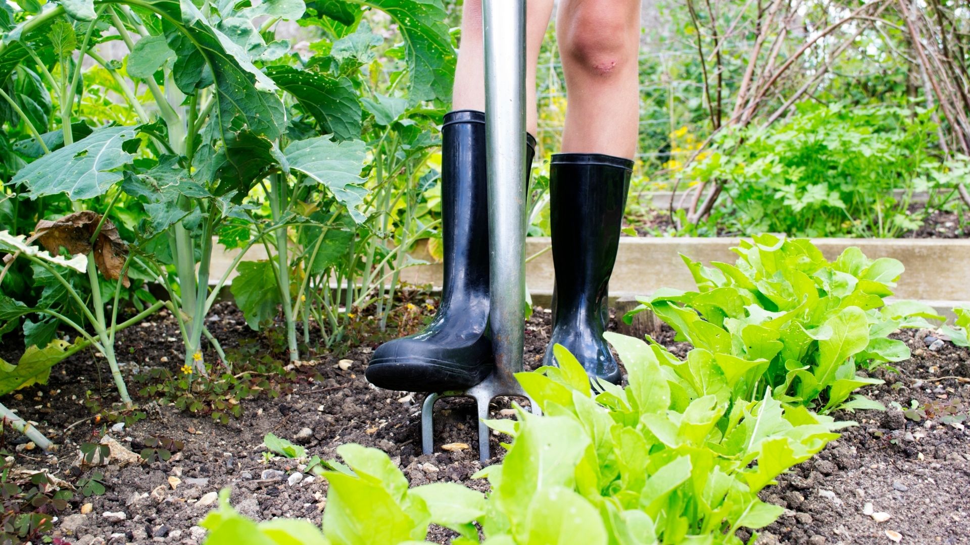 moestuinieren met kinderen