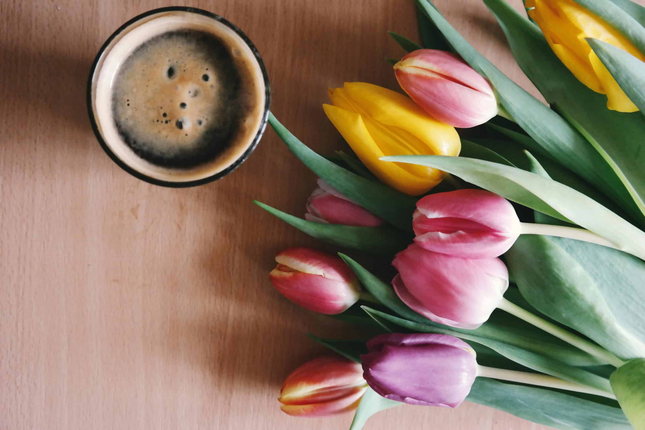 hoe verzorg je tulpen in een vaas