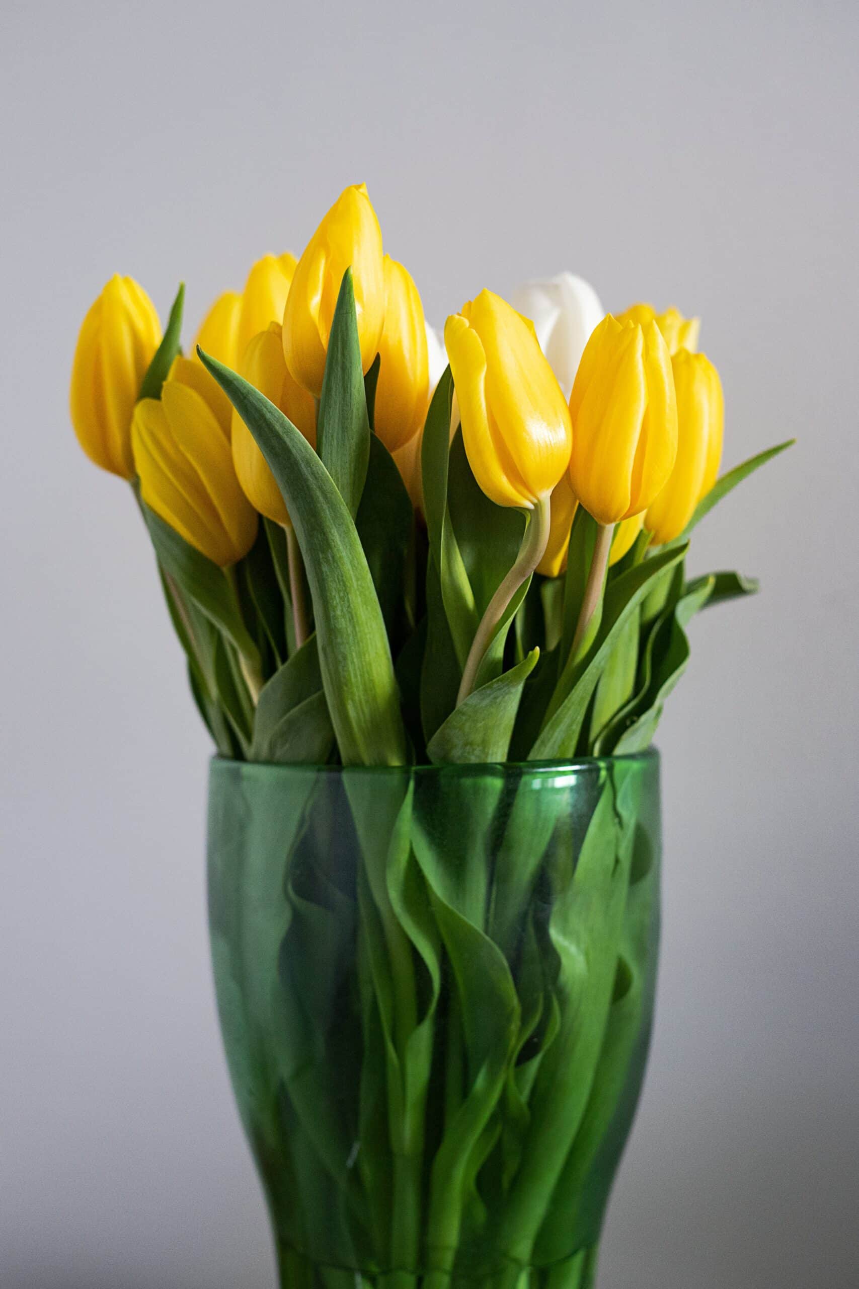 wat is de beste vaas voor tulpen