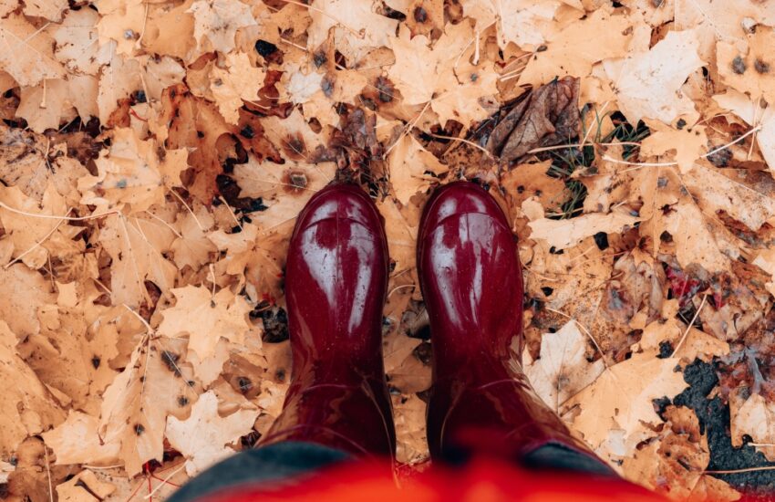 activiteiten herfstvakantie