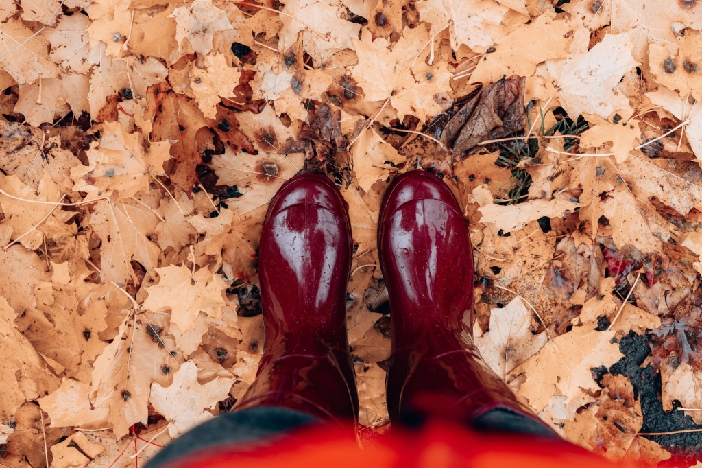 activiteiten herfstvakantie