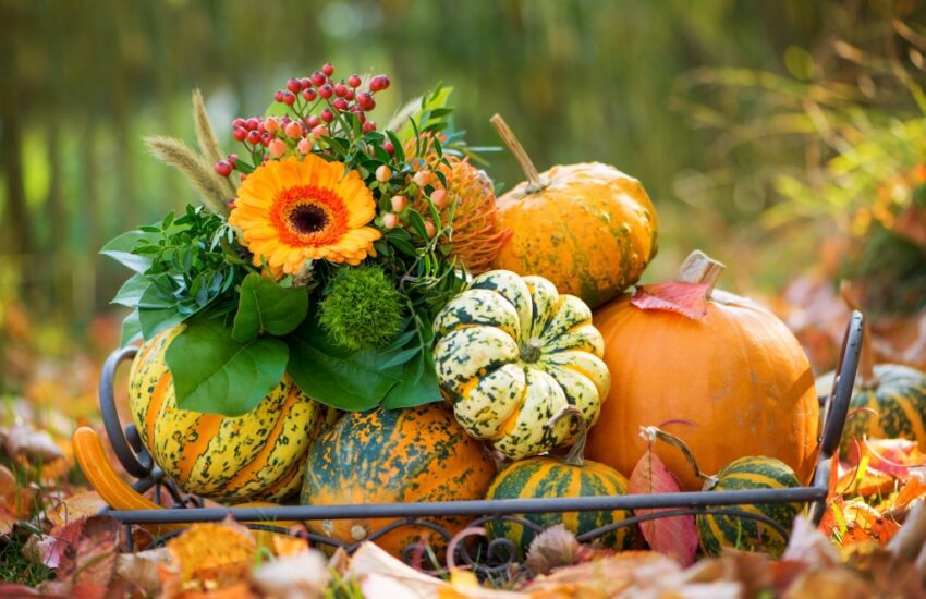 herfstdecoratie buiten
