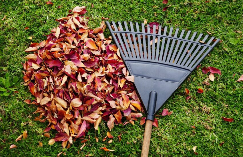tuin in de herfst