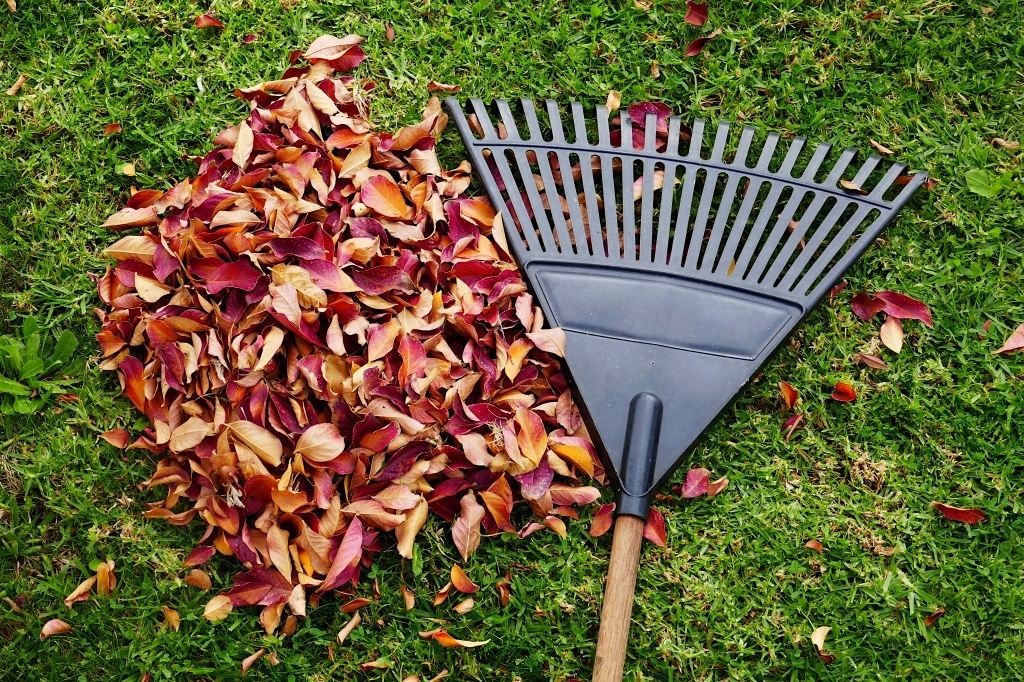 tuin in de herfst